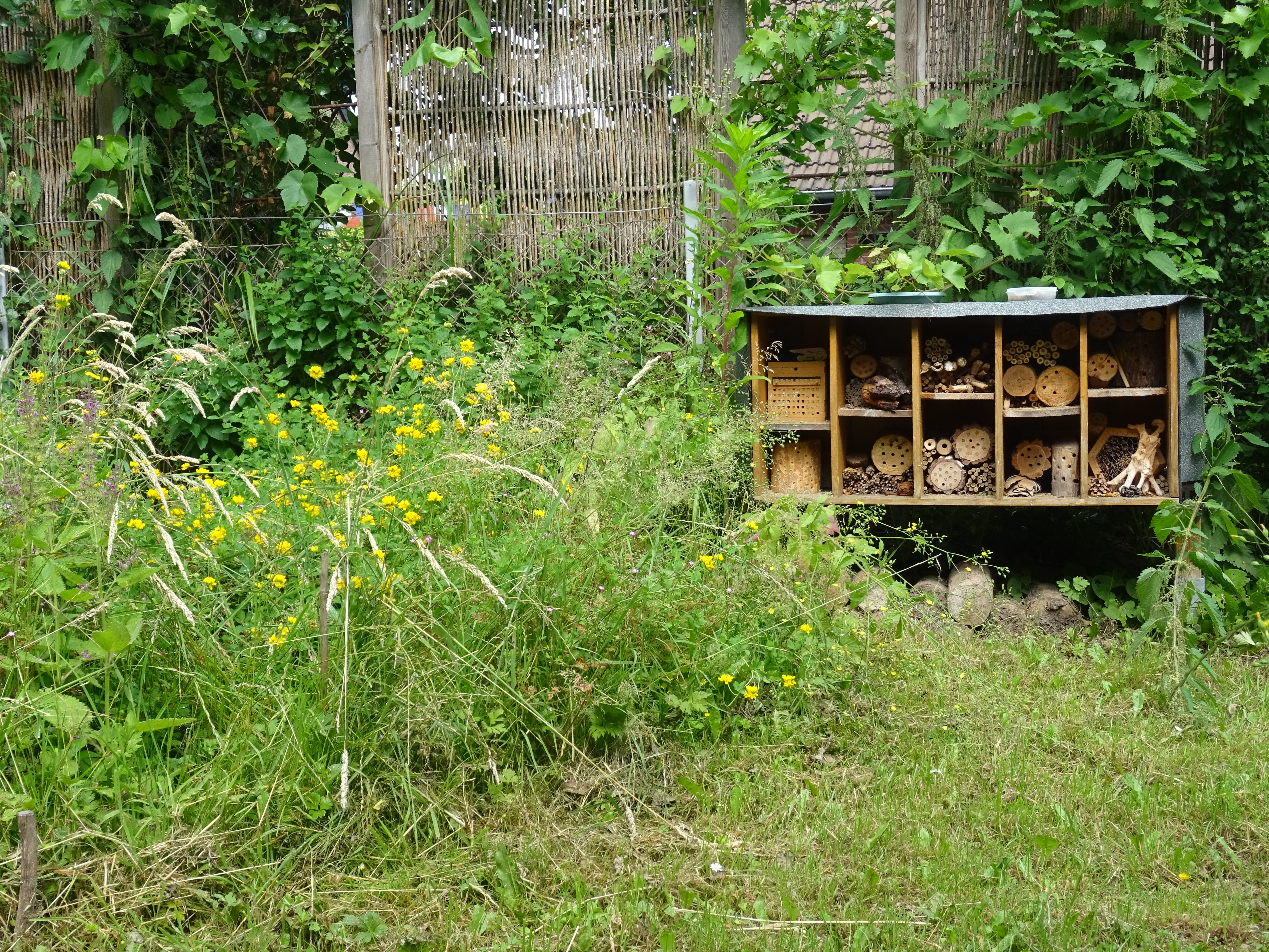 In der Wildwiesenecke unser Insektenhotel